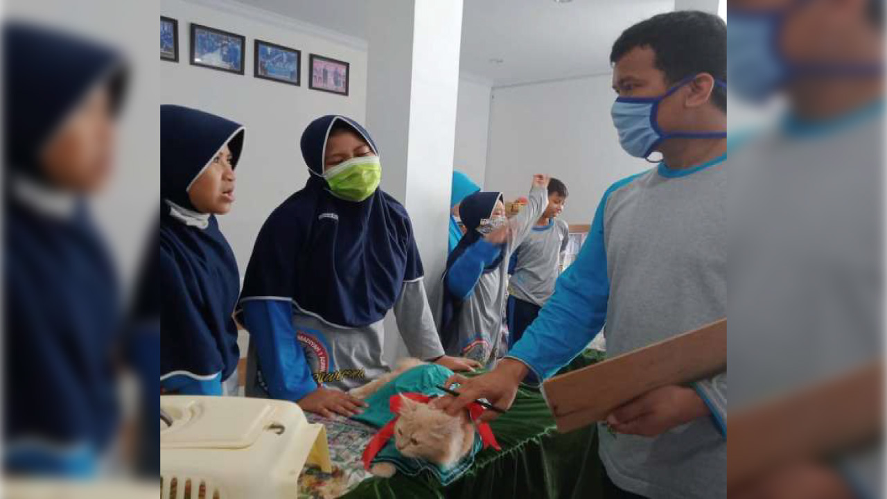 SMP Musawerna Gelar Lomba Satwa dan Puspa: Wujud Kepedulian terhadap Alam dan Lingkungan